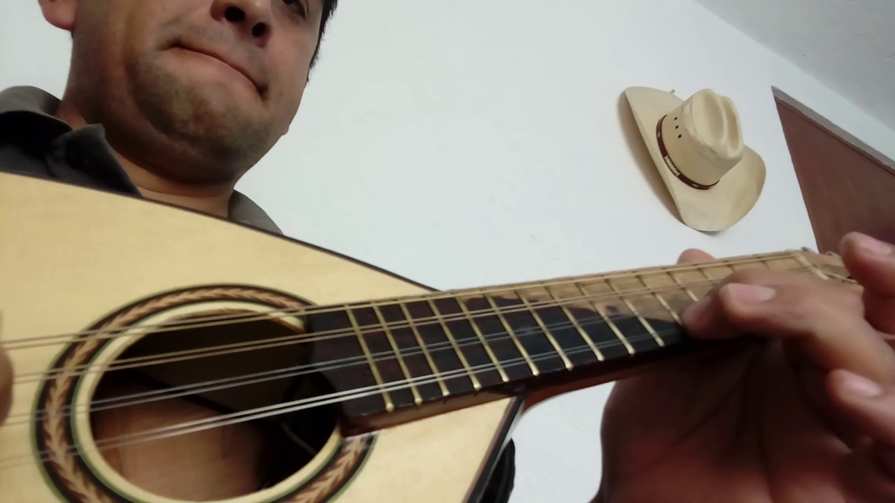 ENTRE TUS MANOS EN MANDOLINA