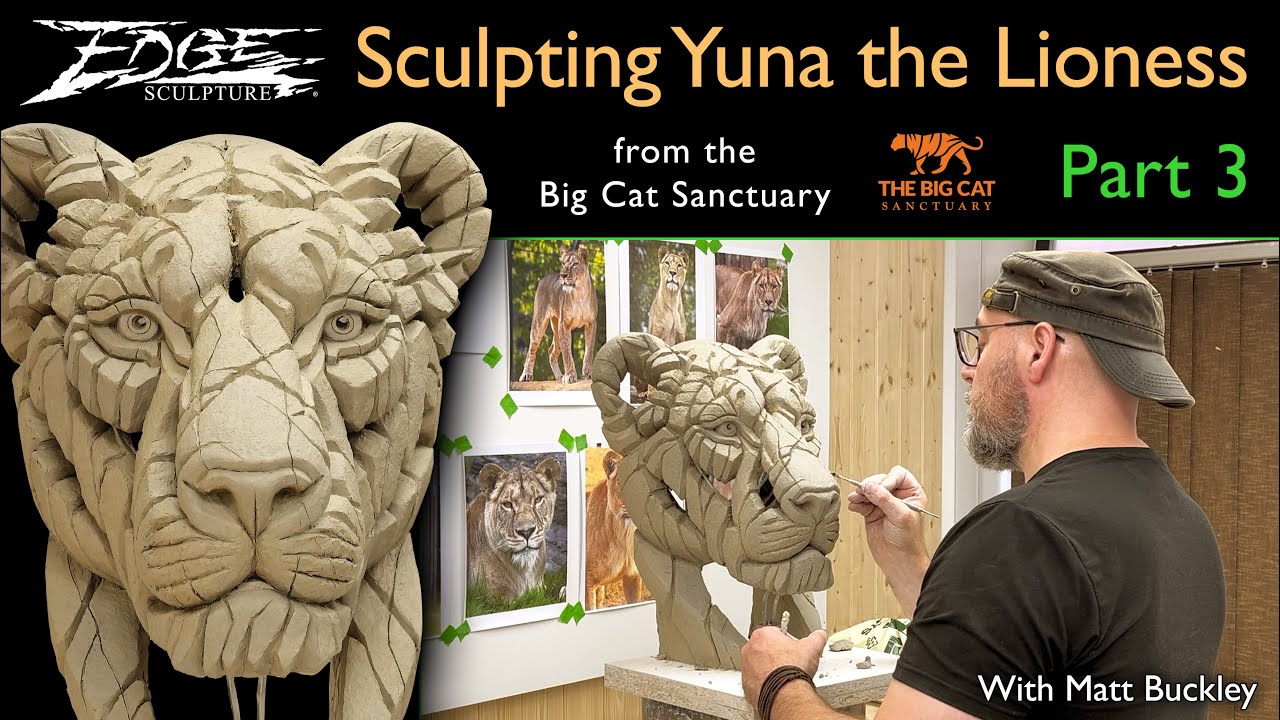 Sculpting a Lioness in Clay by Matt Buckley | Edge Sculpture | The Big Cat Sanctuary | Part 3