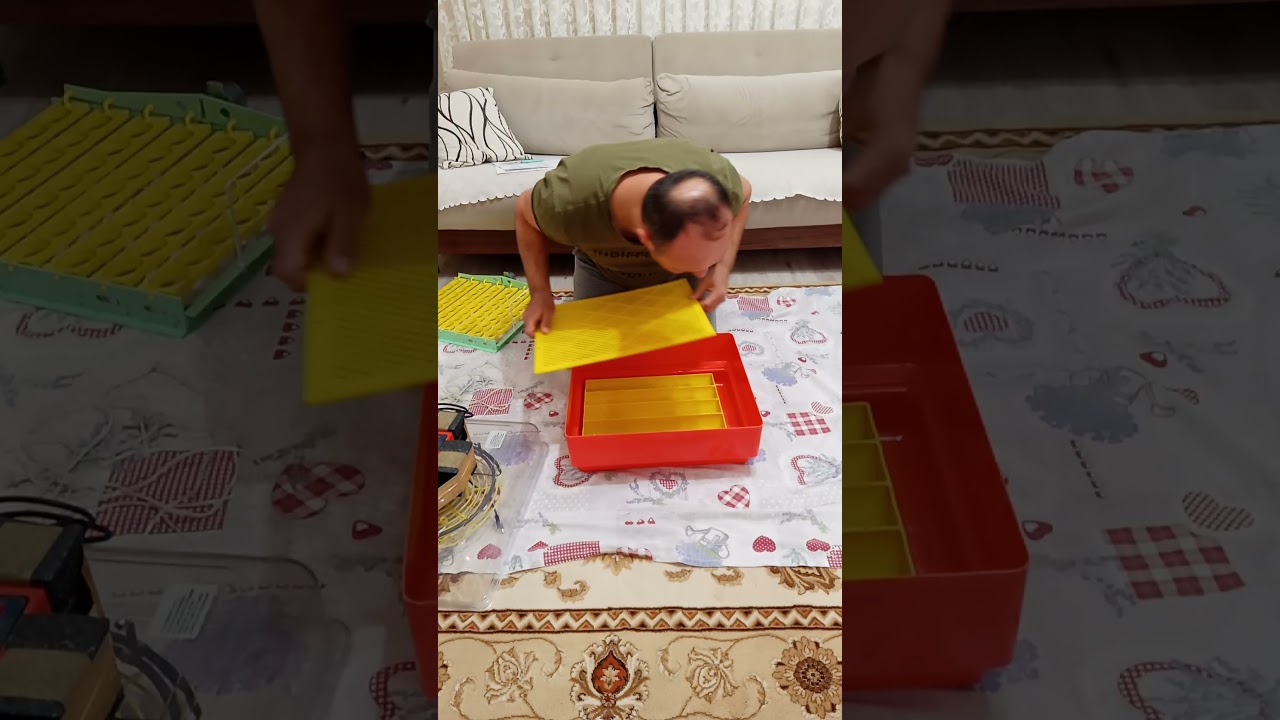 VGS 50 KULUÇKA MAKİNESİ KUTU AÇILIMI🧿