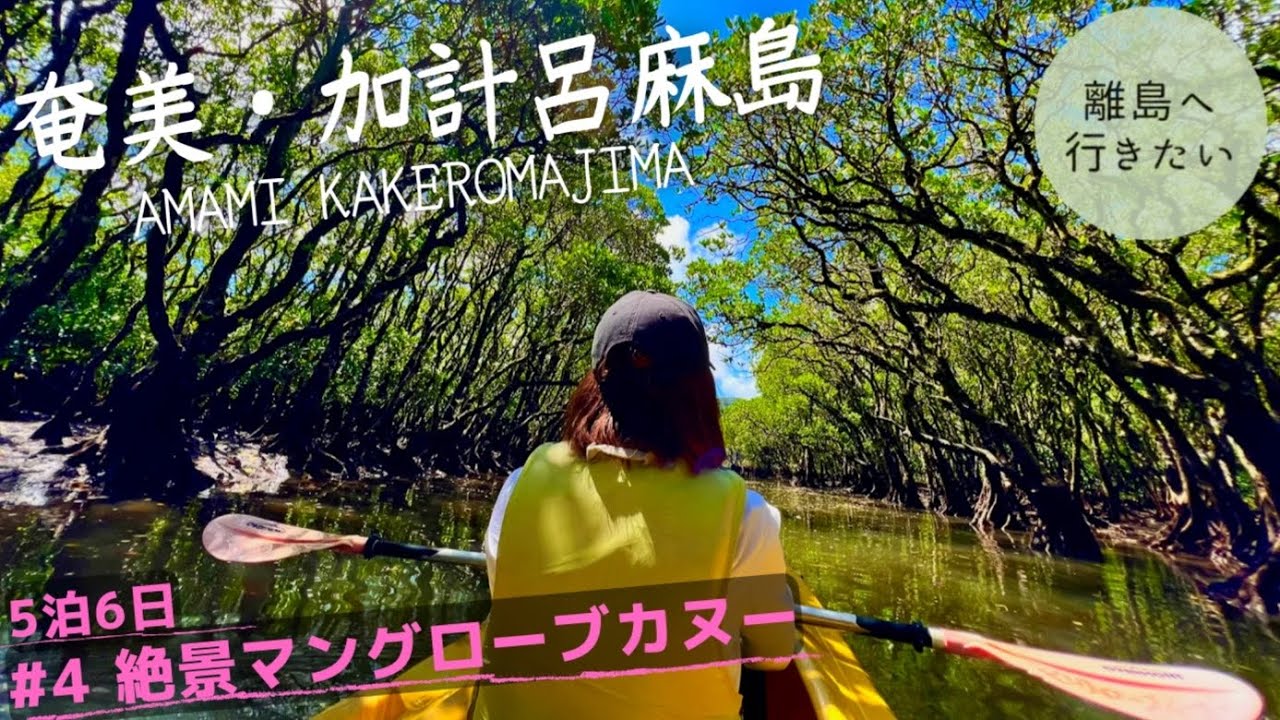 【奄美大島】世界遺産のマングローブカヤックと素潜りに挑戦（鹿児島/観光） #4