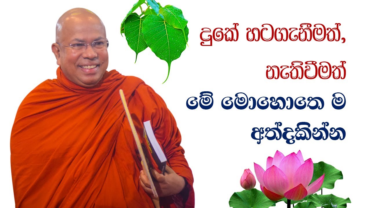 දුකේ හටගැනීමත්, නැතිවීමත් මේ මොහොතෙ ම අත්දකින්න (භද්‍රක සූත්‍රය)