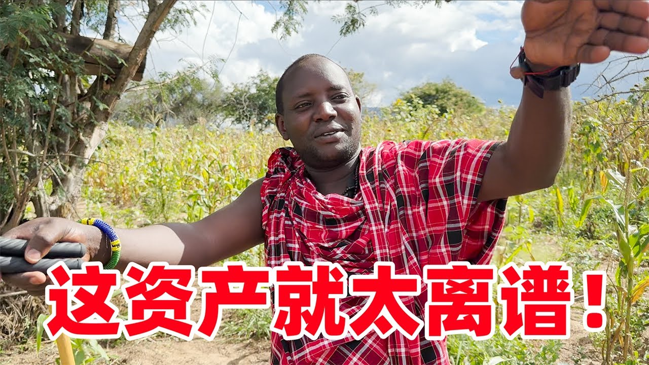 太离谱！揭秘马赛部落最大农场，不愧是酋长啊，这资产我不敢想象