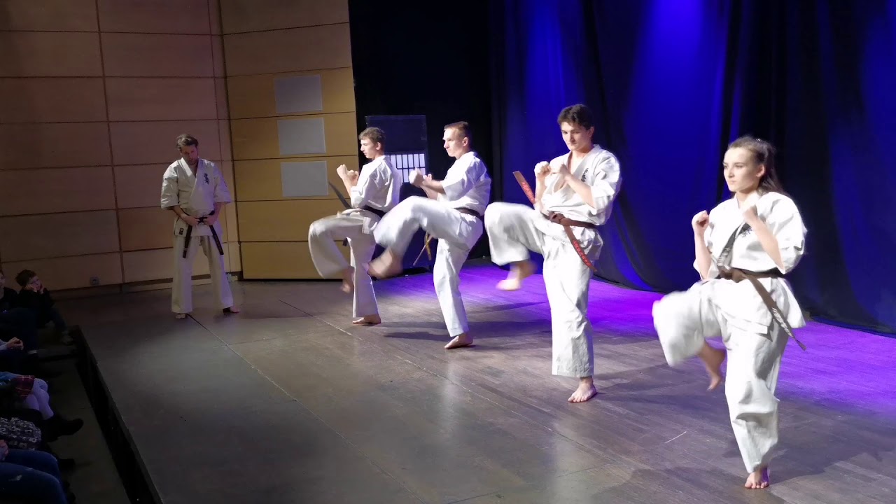Pokazy BUDO w Muzeum Sztuki i Techniki Japońskiej Manghha w Krakowie Karate cz 1