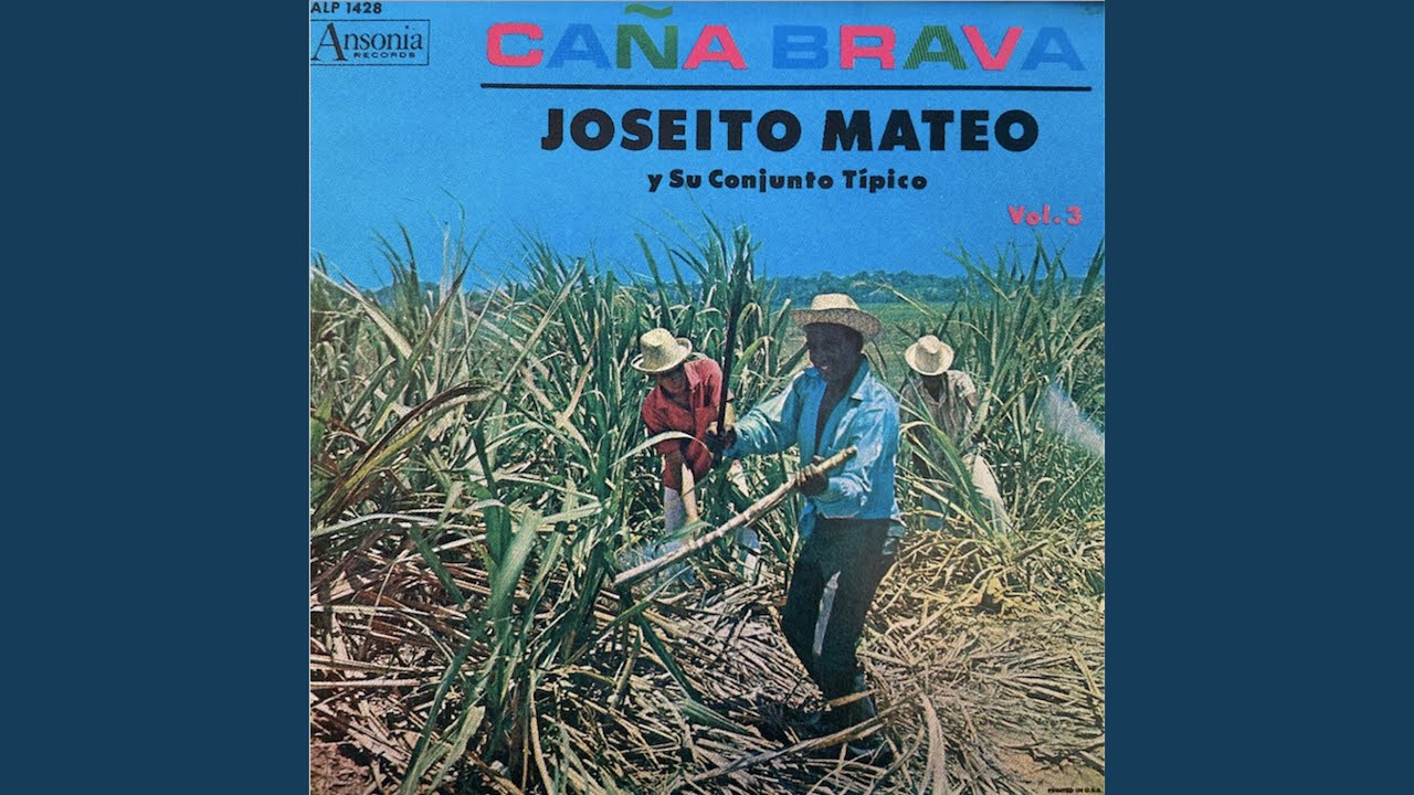 Caña Brava