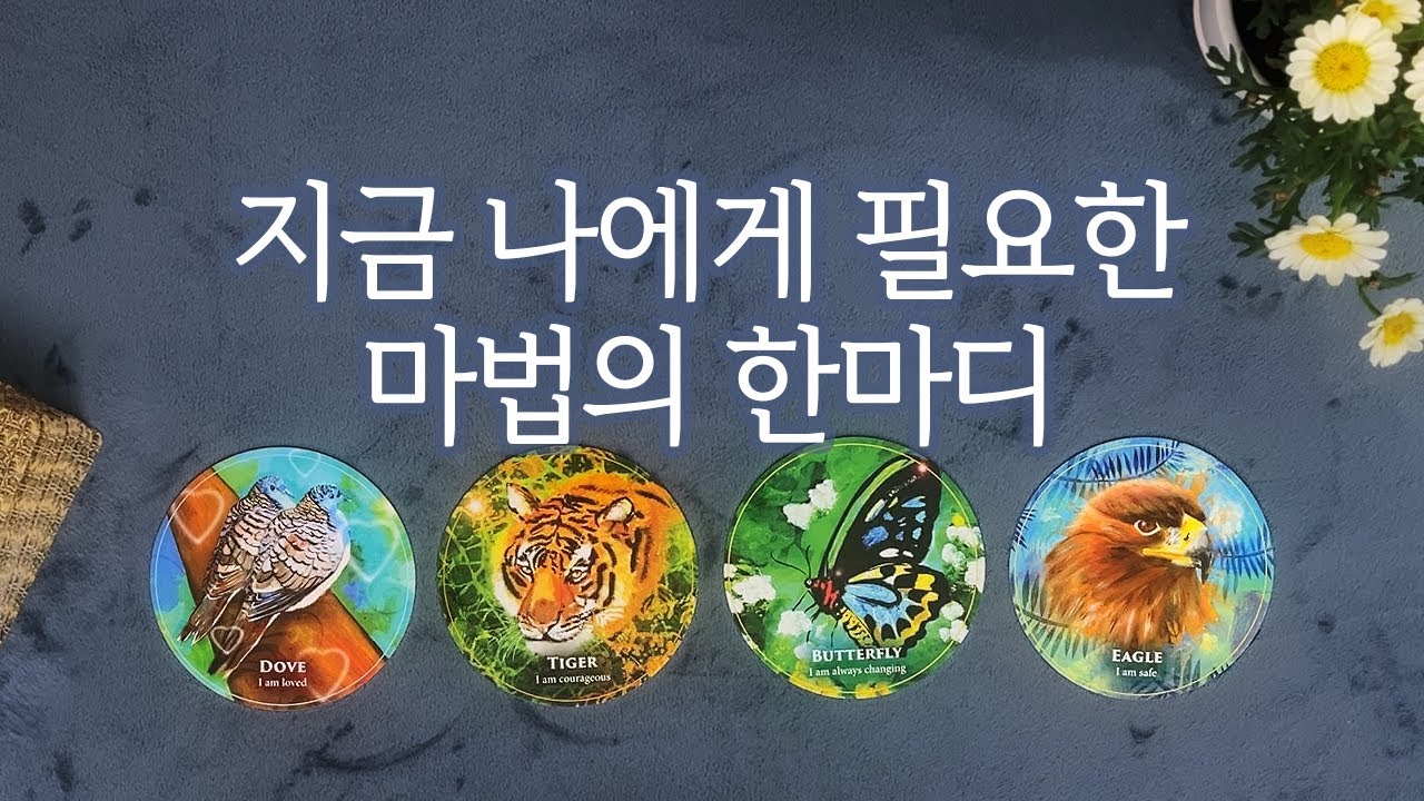 [타로] 나의 현재 운은? 지금 필요한 마법의 한마디는?