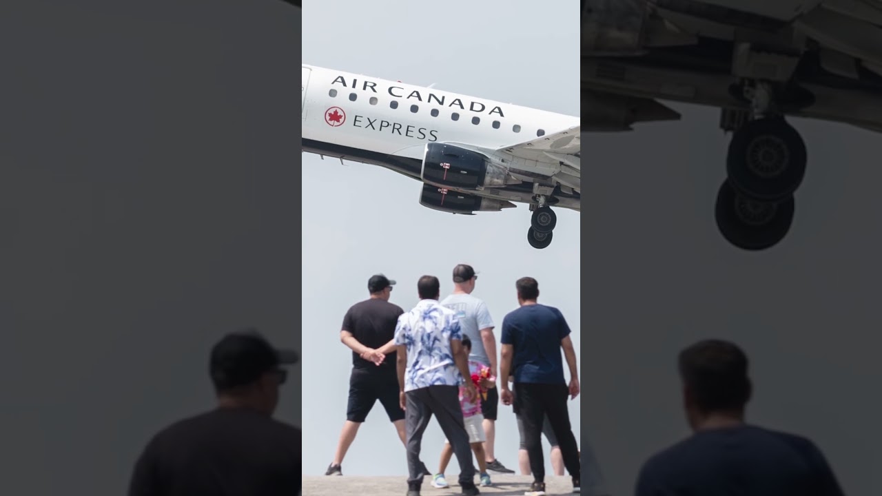 Бывший пилот Air Canada летал по поддельным водительским удостоверениям: полиция