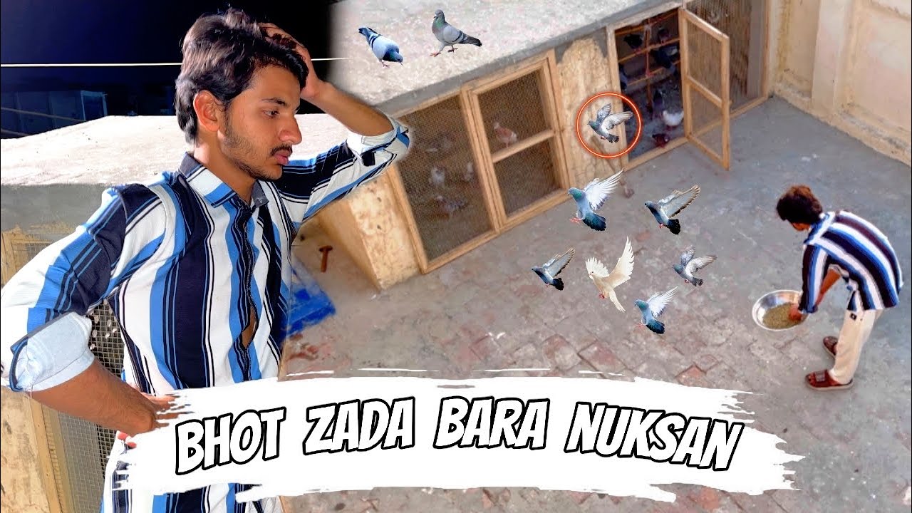 Ise zada bara nuksan nahi ho saqta tha 🥺 || Sara shok khatam 💔😭 || Pets Zone 