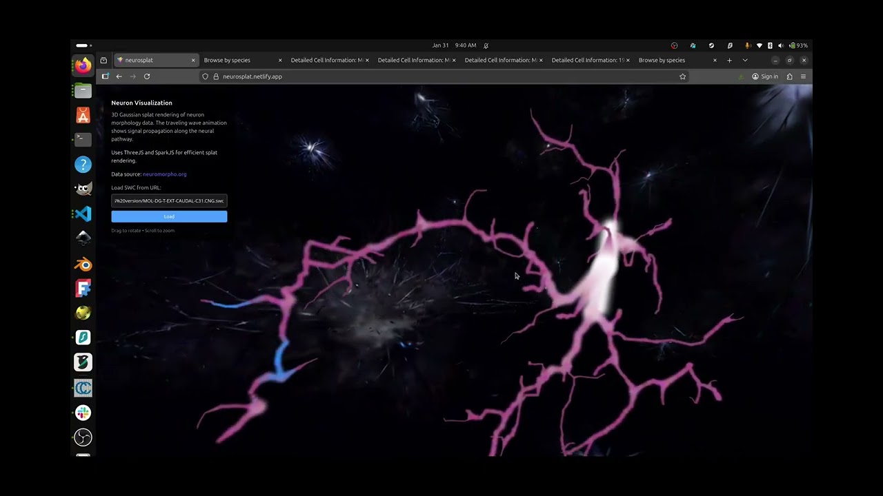Gaussian splat neuron rendering v4