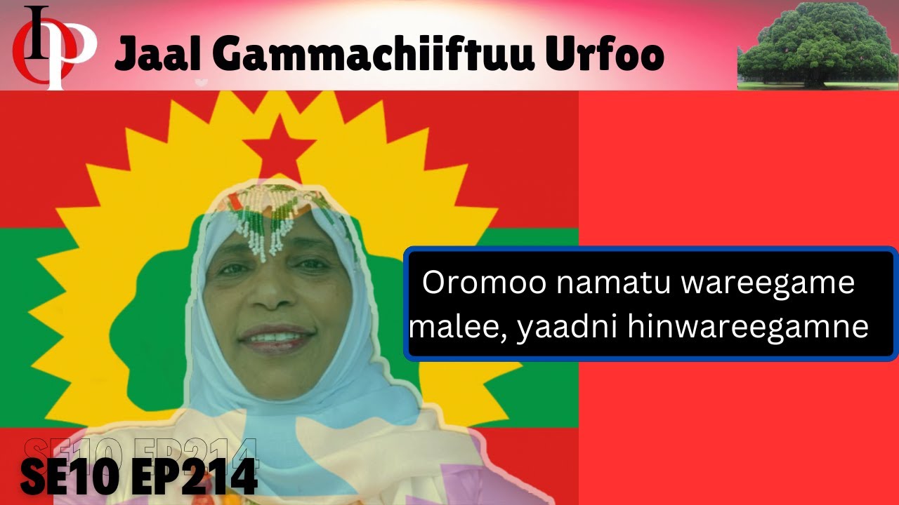 Jaal Gammachiiftu Urfoo Irraa Seenaa Hawwisoo Caffee Gadaa Qabsoof Gumaachite  || 1/2  [SE10 EP 214]