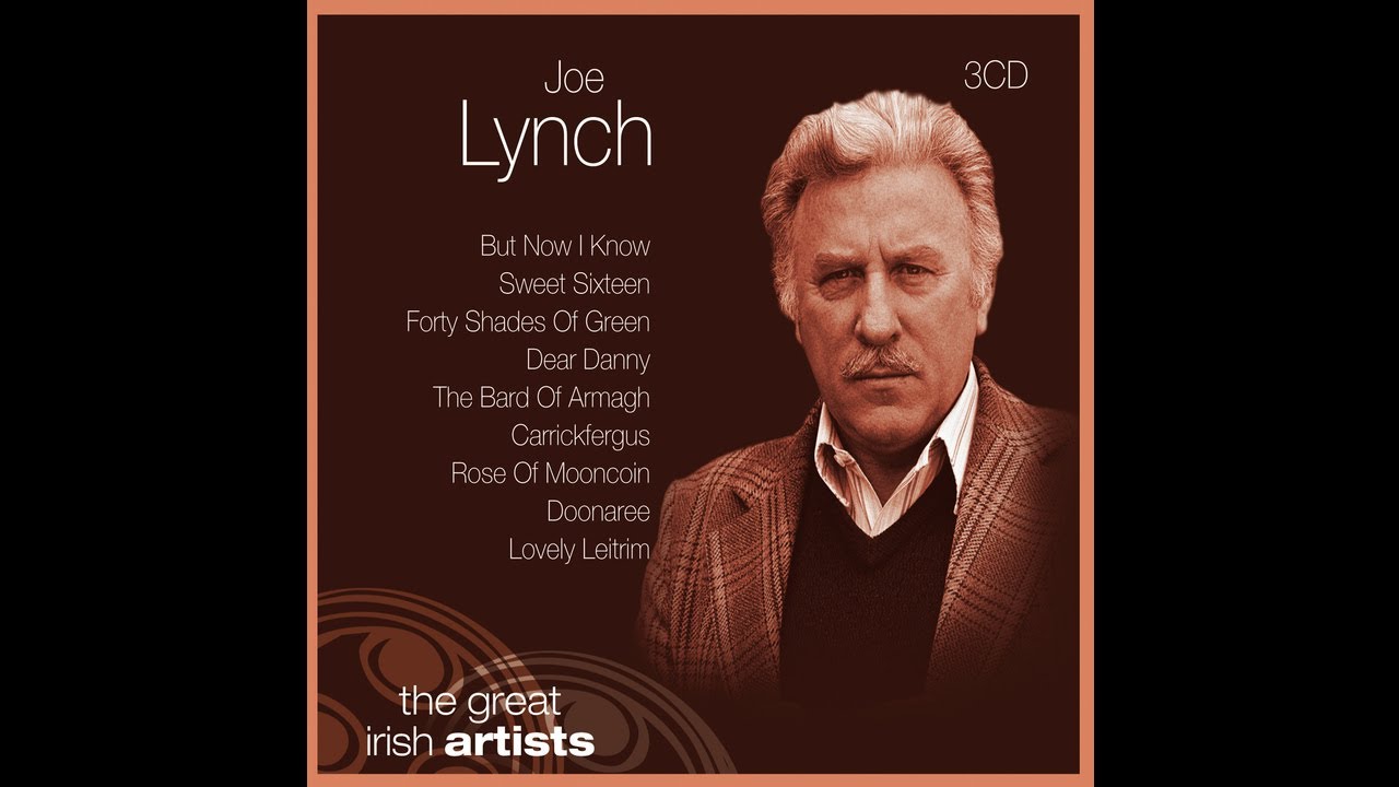 Joe Lynch - Old Bog Road [Audio Stream]