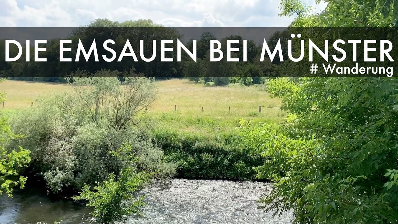 🥾 Durch die Emsauen bei M&uuml;nster | Wanderung im M&uuml;nsterland