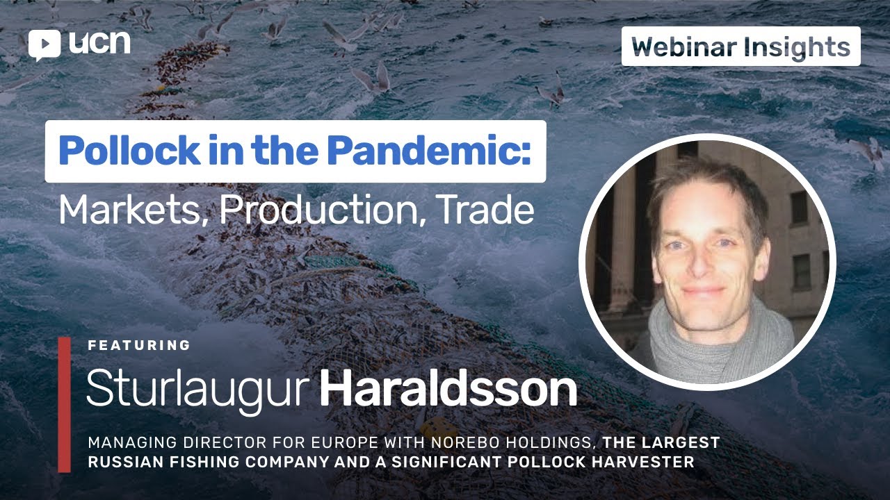 Norebo's Haraldsson feels big MSC pollock price premium will remain