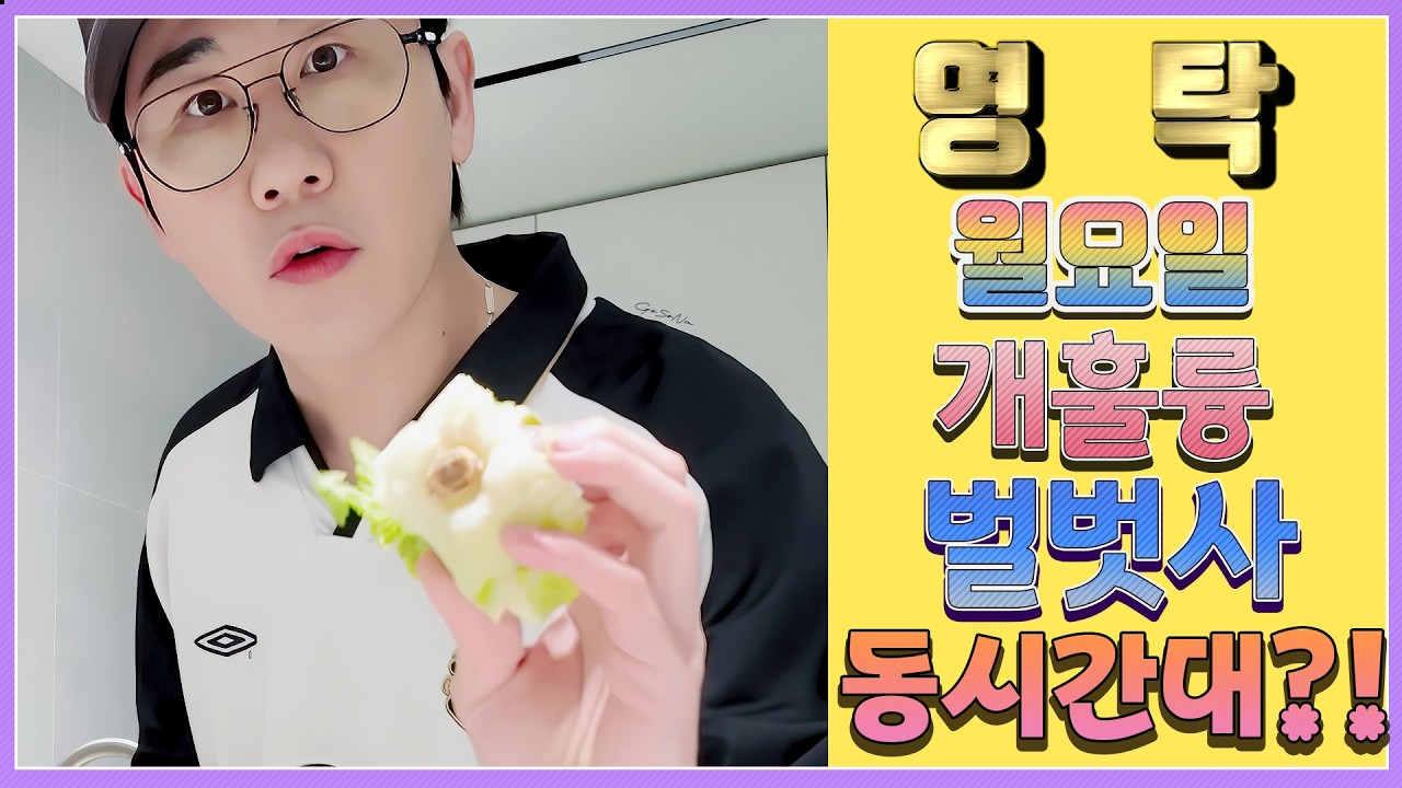 💙영탁팬수다방💙 260307) 영탁 월요일 개훌륭 & 벌벗사 동시간대 방송?!  #영탁 #YOUNGTAK