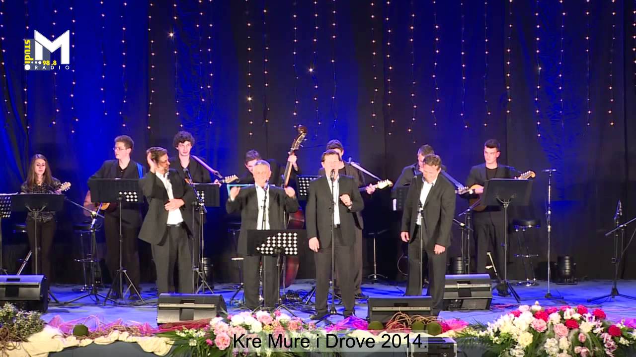 Kvartet Gubec uz TS Frikovi - Barbarić (festival Kre Mure i Drove, Prelog 2014)
