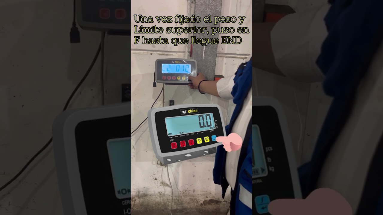 Cómo Fijar la capacidad de carga máxima en báscula RHINO