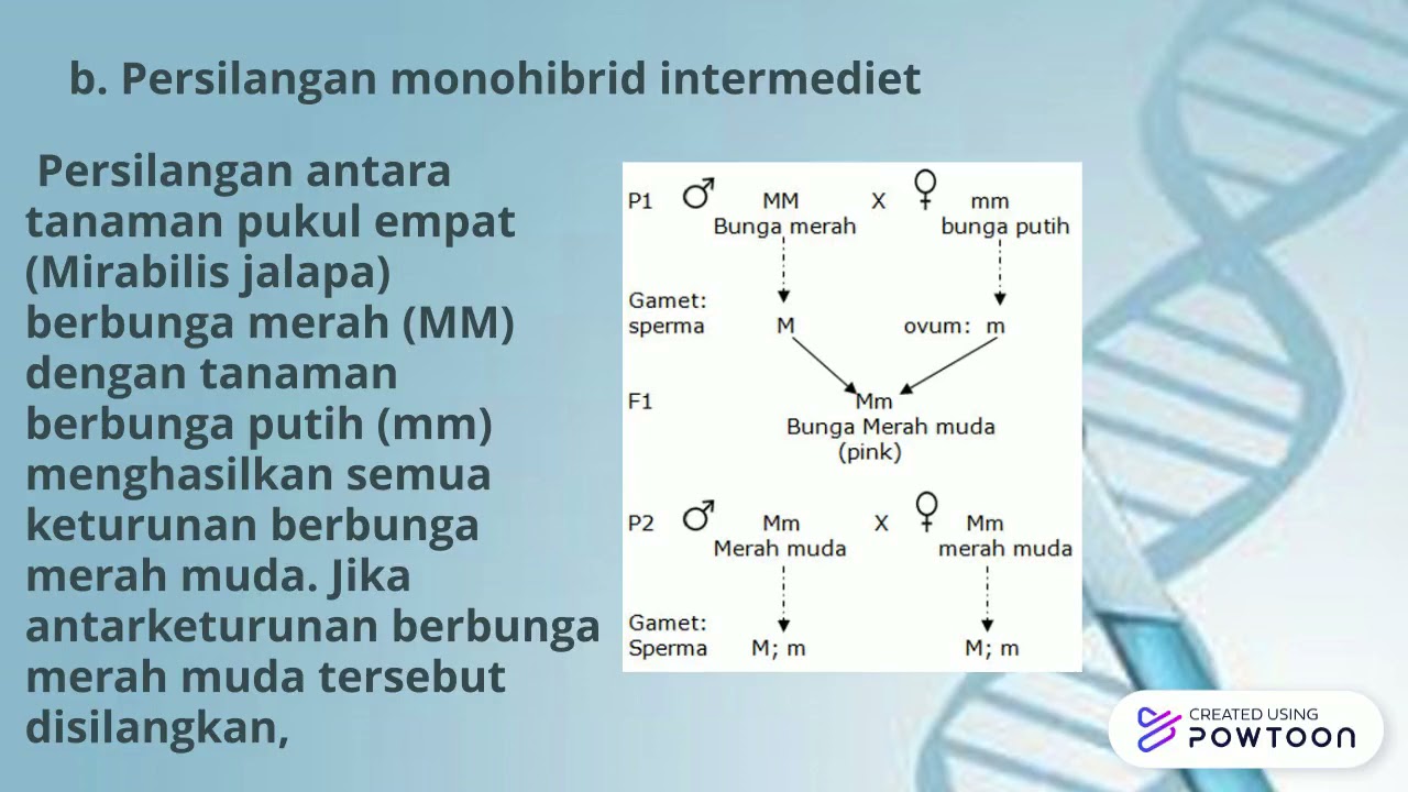 Pewarisan Sifat