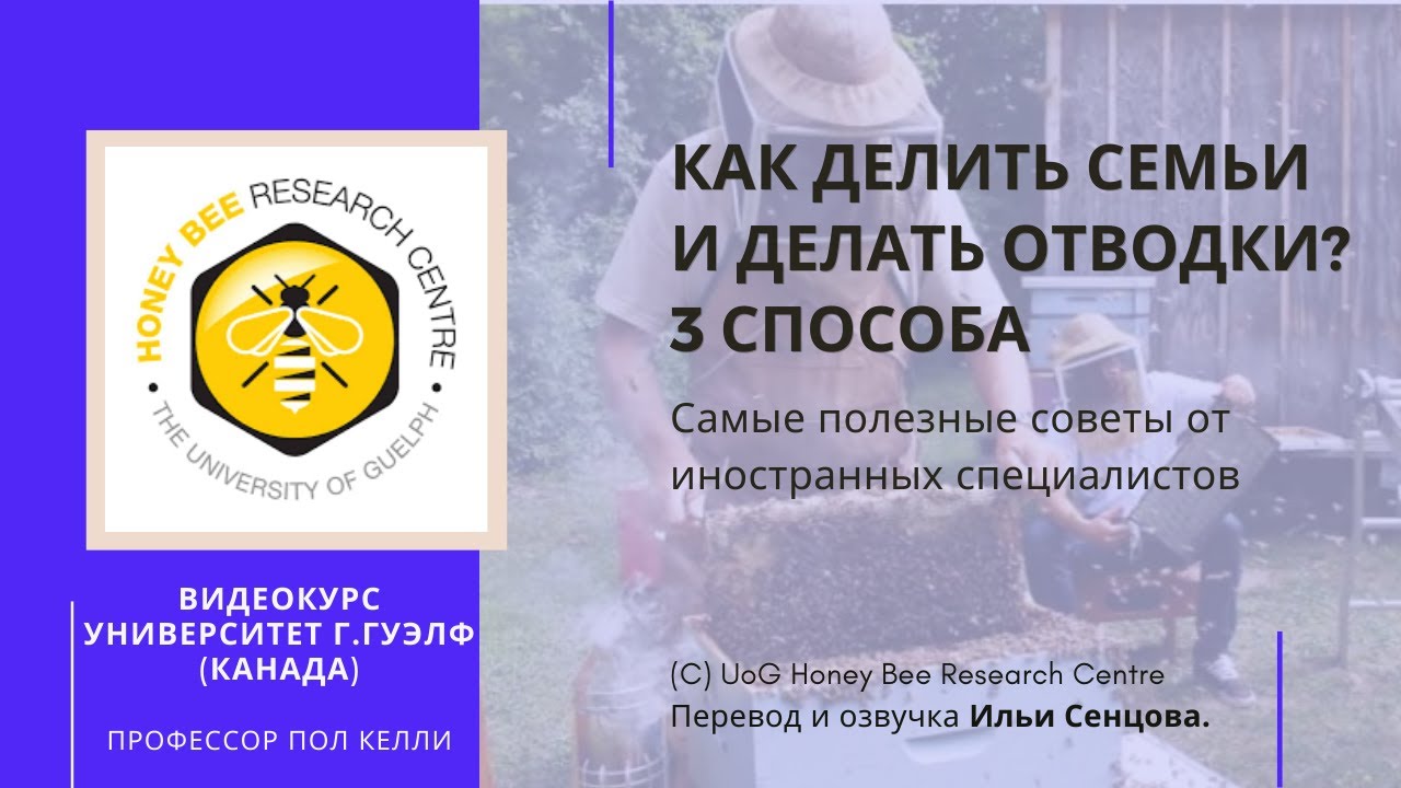 Как делить семьи и делать отводки? 3 способа (Канада)