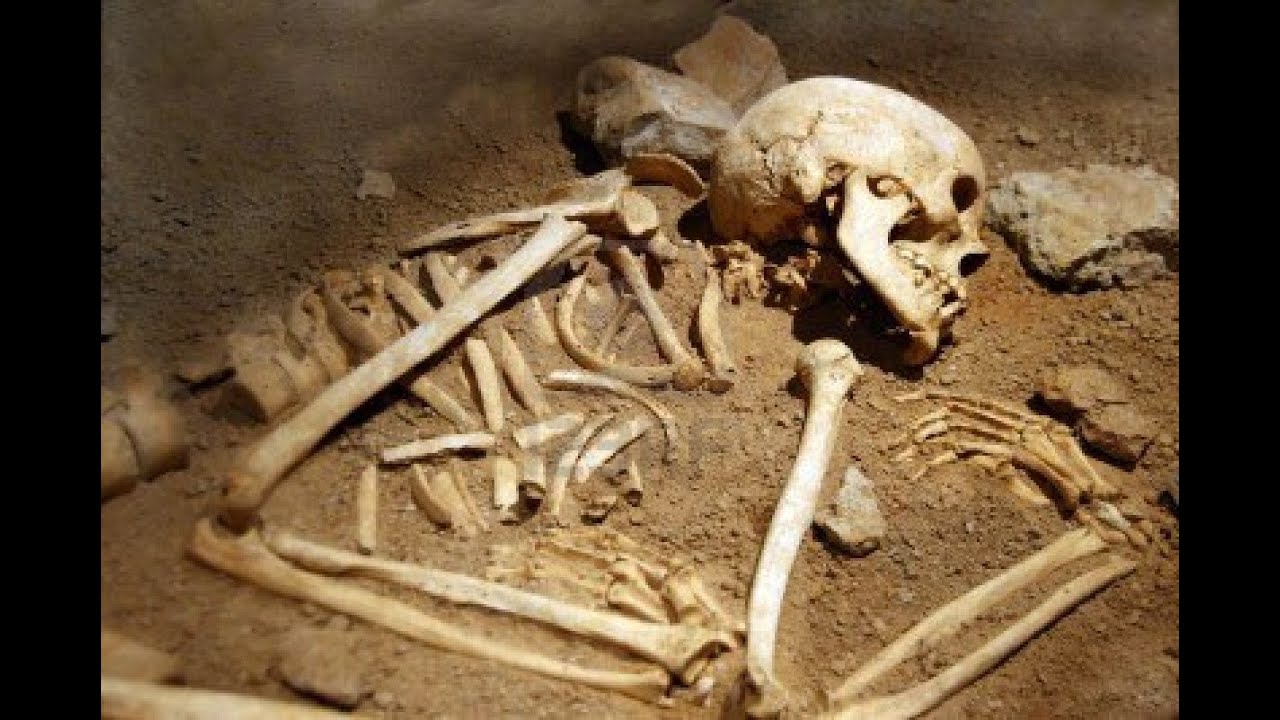 Unidentified Human Remains Discovered : Documentary on Mysterious Human Remains (Full Documentary)