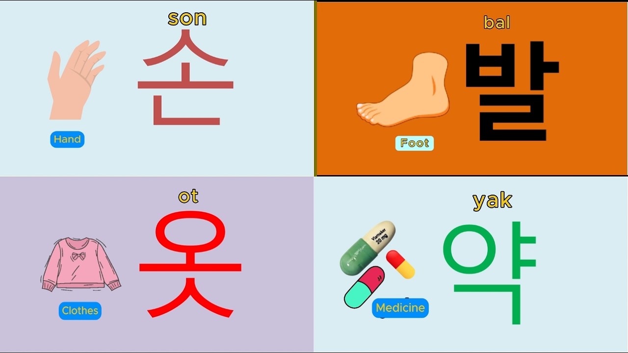 TOPIK Basic Lessons review 26-30 (New Ver)