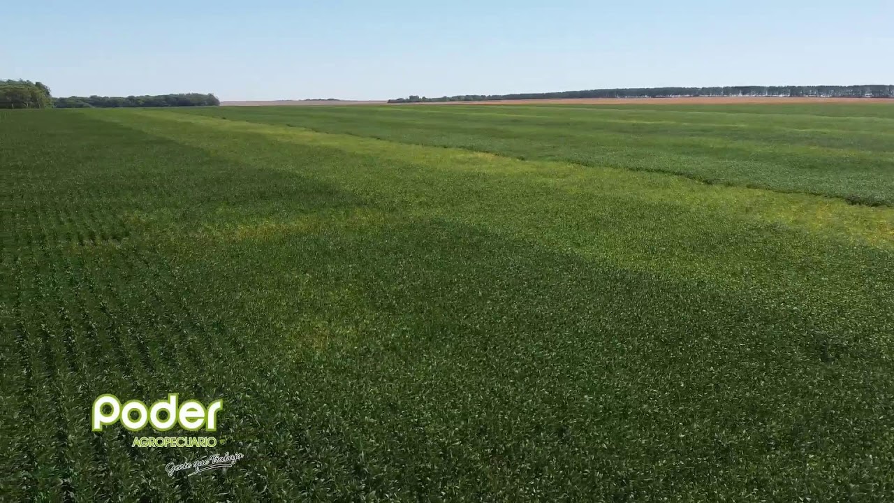 PODER AGROPECUARIO