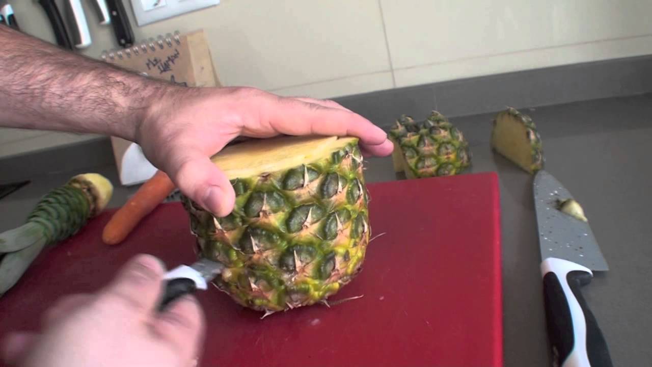 UN LORO CON UNA PIÑA I RECETAS DE COCINA