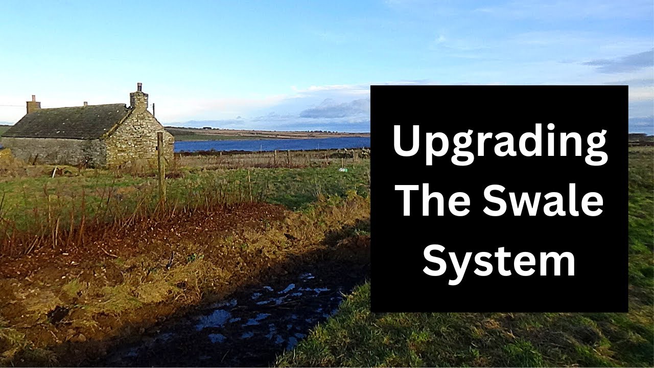 Making permaculture swales more productive.