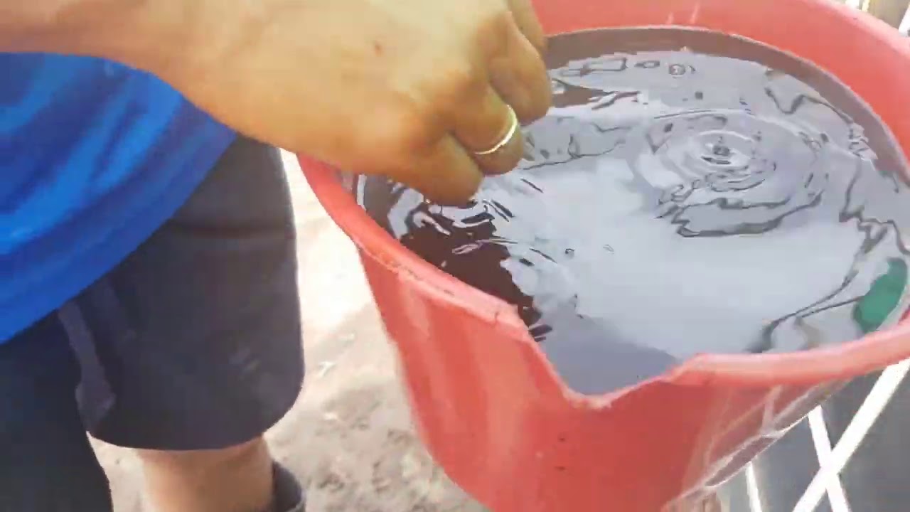 Melaza en sistema biofloc