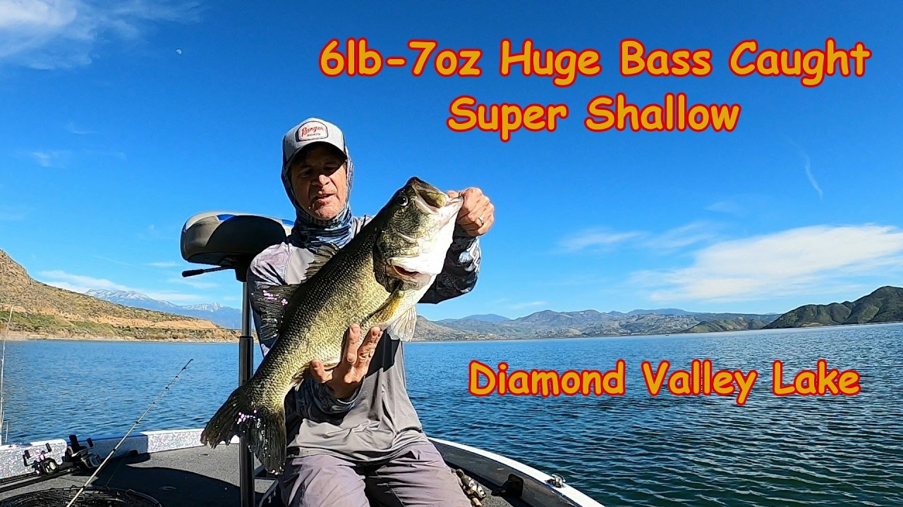 6 lb 7oz Bass caught shallow at DVL
