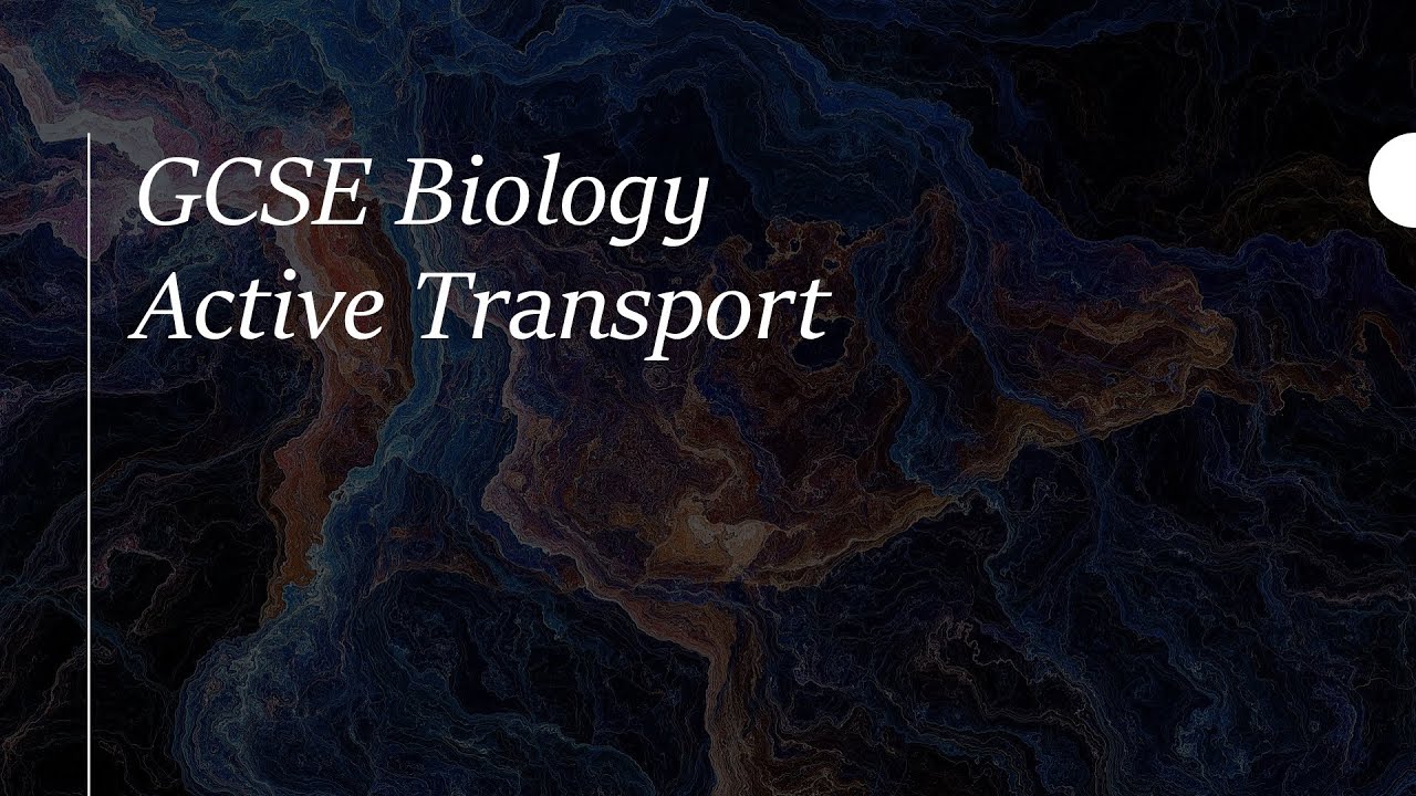 GCSE Biology - Active Transport 