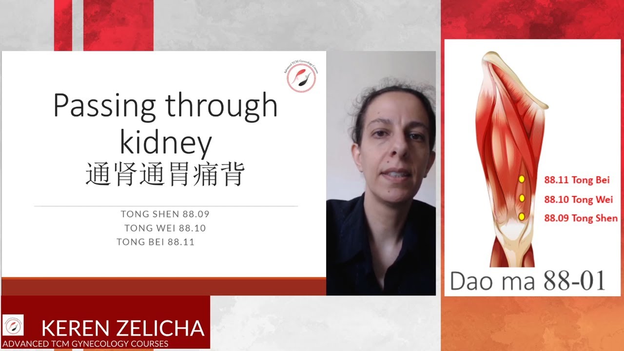 Master Tung's Acupuncture Tong shen (88.09)+ Tong wei (88.10)+ Tong bei (88.11)
