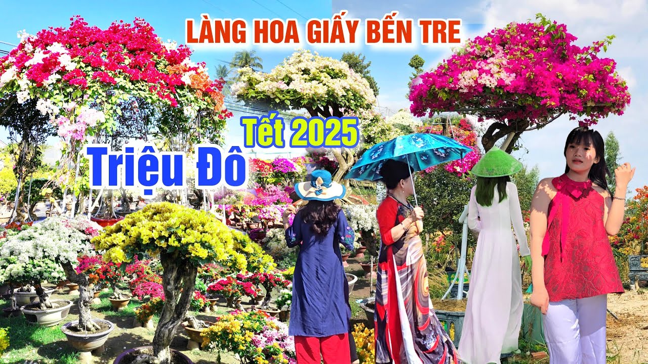ĐỘC LẠ LÀNG HOA GIẤY PHÚ SƠN TẾT 2025 - PHÁT HIỆN NGÔI NHÀ HOA GIẤY ĐẸP CHƯA TỪNG THẤY