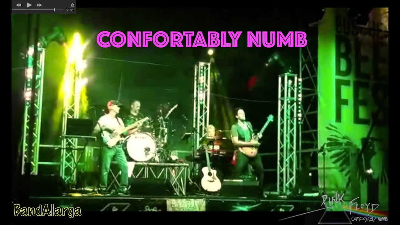 Confortably Numb (Pink Floyd Cover) - BandAlarga Live