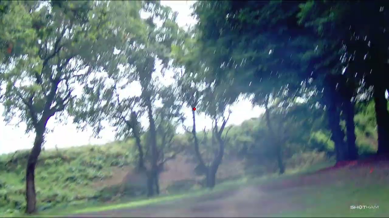 sporting clays 17-8-24 at eriswell lodge