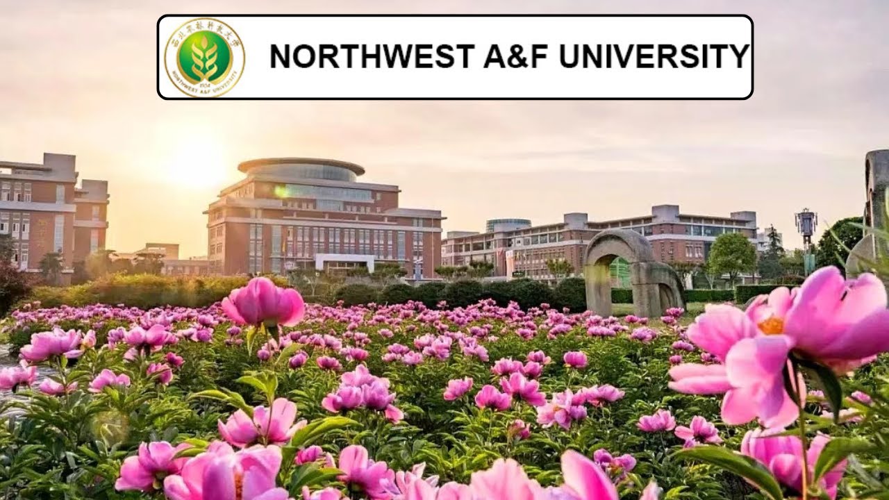 Northwest A&F University (NWAFU) ।।Overview।।2024-2025
