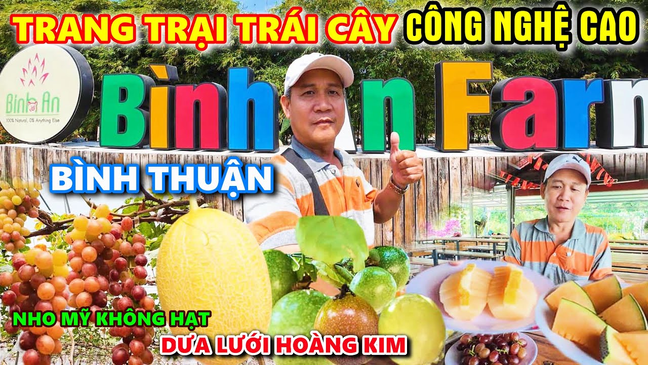 Có Gì Đặc Biệt Trong Trang Trại Trái Cây Công Nghệ Cao Rộng Cả Trăm Hecta Ở Bình Thuận ?