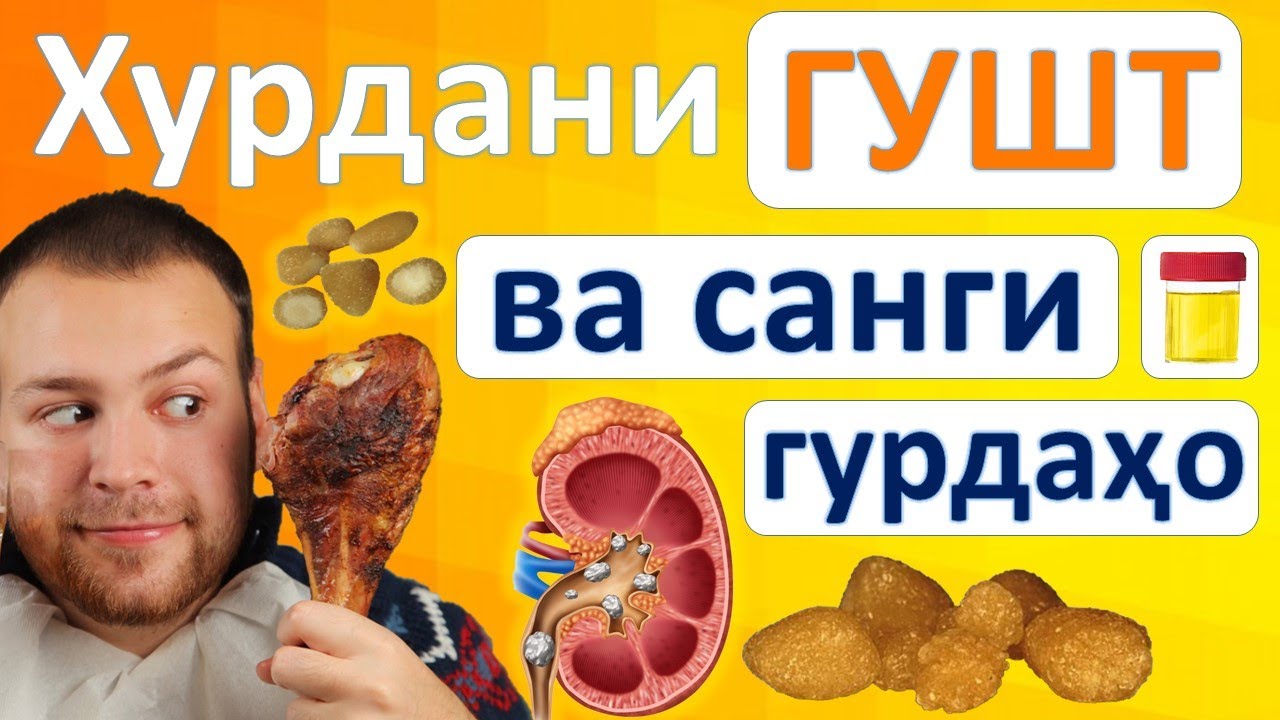 Гурда. Хурдани гушт ва пайдошавии санг дар гурда.