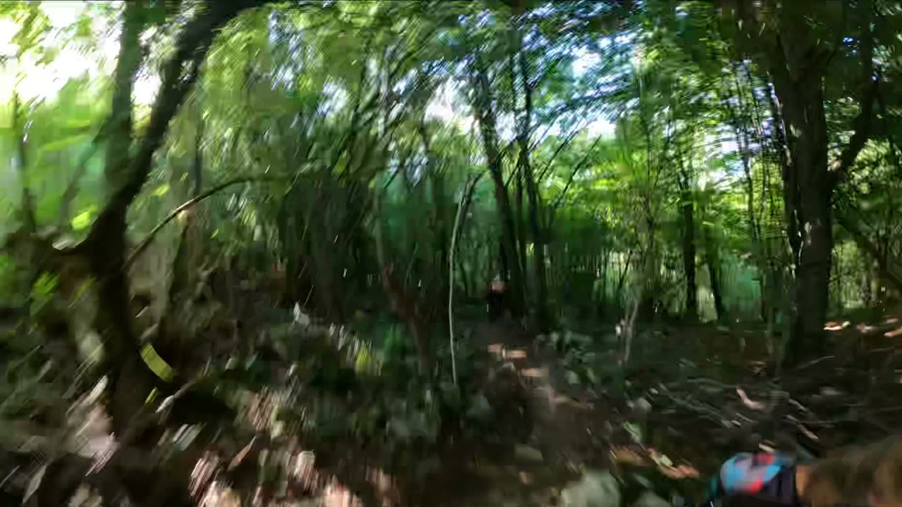 Logyeah at robidisce trail center Sloveni&euml;