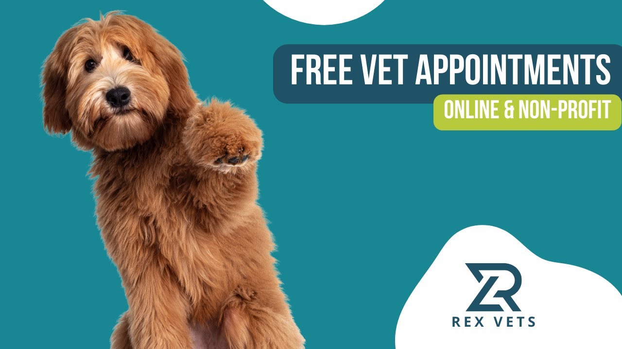 Rex Vets: Free Online Vet Care for Your Pets 🐾