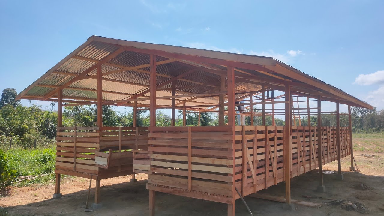 Pembuatan Kandang Kambing Spek Breeding || Breeding Goat Cage