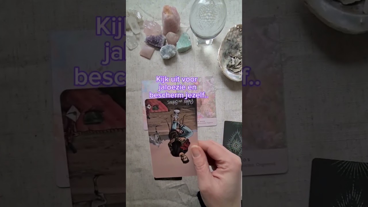 SHORT MAANREADING FEBRUARI 🎇 #fyp