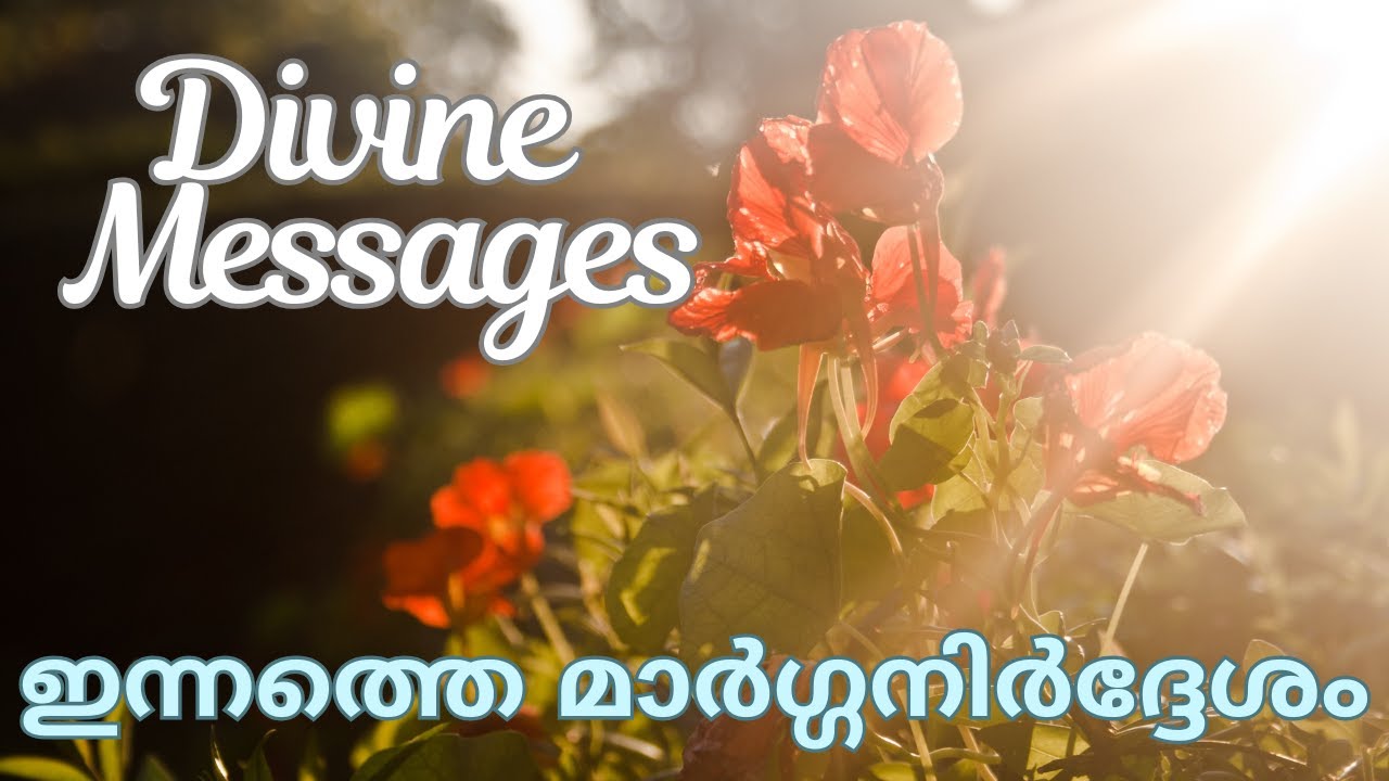 🪬വെള്ളിയാഴ്ച Dec 05 2025👼🏼Today's Divine Messages 🧿🎋#friday #collective #tarot #december