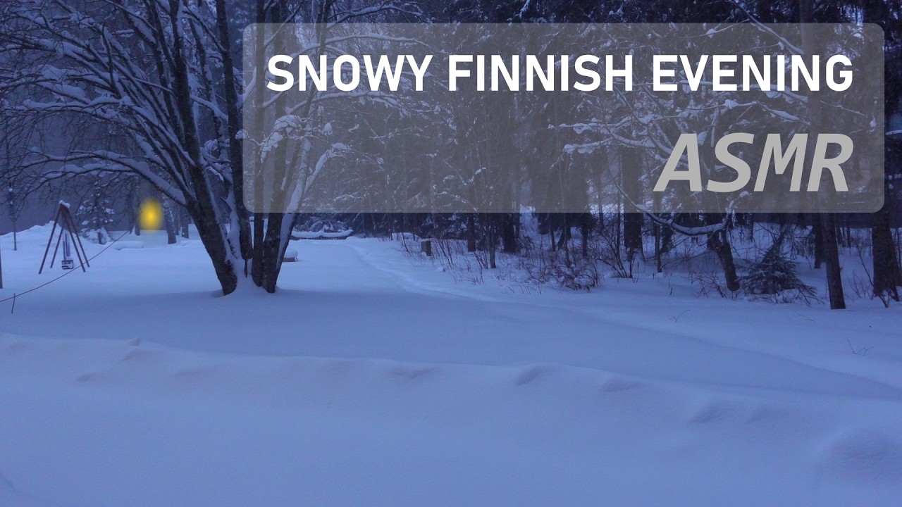 Snowy Finnish Evening ASMR (20 Minutes)