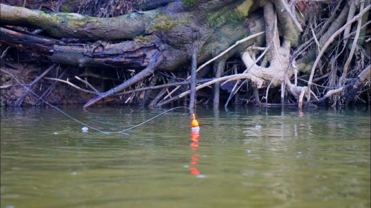Early Spring Steelhead BOBBER DOWNS! - Small Water Float Fishing 2025