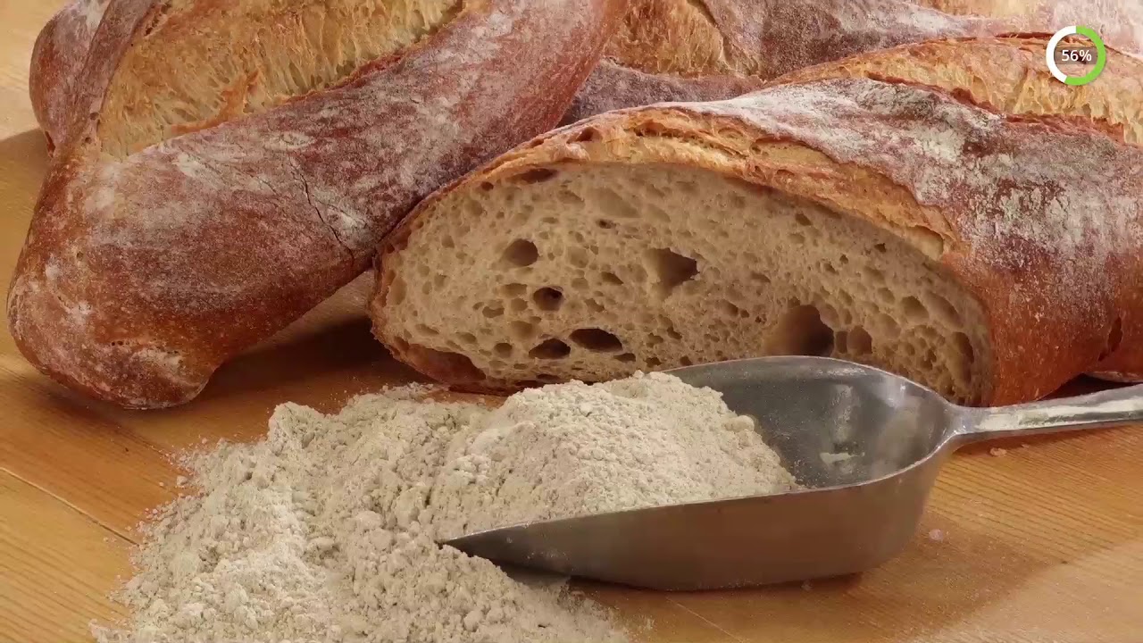 The Art of Bread | Loulis Museum