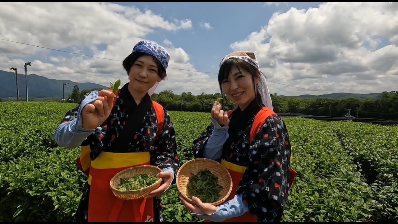 2023年7月2日　桐山卓也様ご一行様　茶文化体験in南山城村