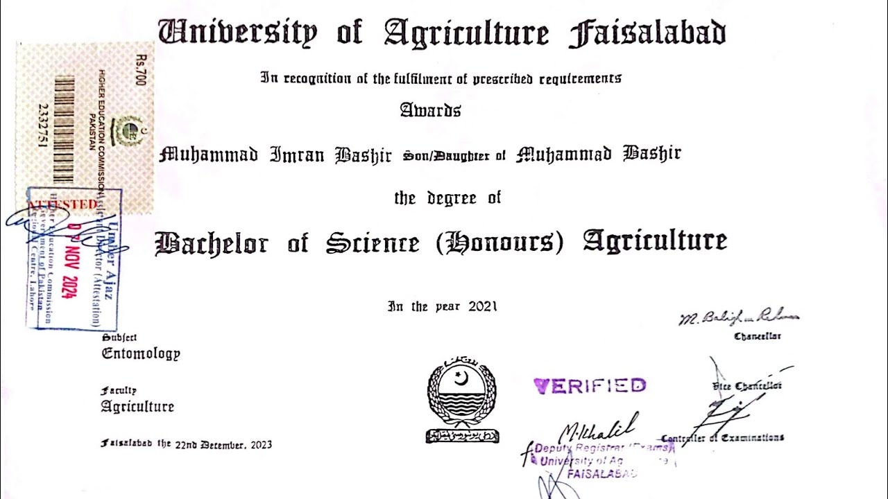 Degree Attestation for ZTBL MCO OG III Jobs 2026