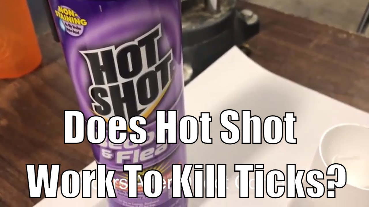 Does Hot Shot Bed Bug Killer Work to Kill Ticks?