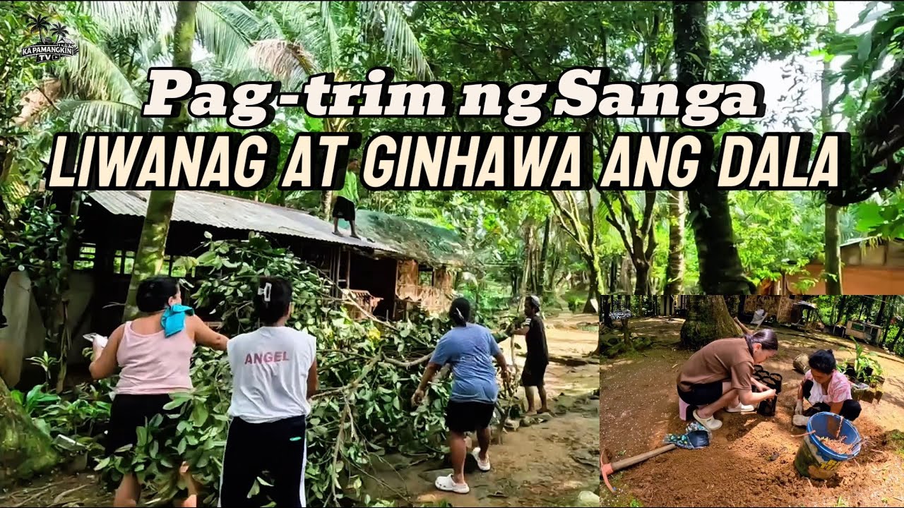 Putol na ang mga sanga | Liwanag at ginhawa ang dala 
