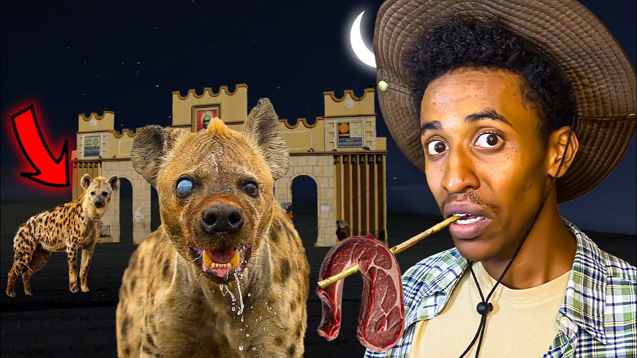 ወደ ሃረር ሂጄ ያጋጠመኝ አስደንጋጭ ክስተት