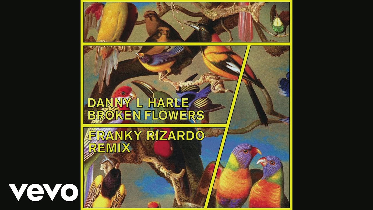 Danny L Harle - Broken Flowers (Franky Rizardo Remix) [Official Audio]